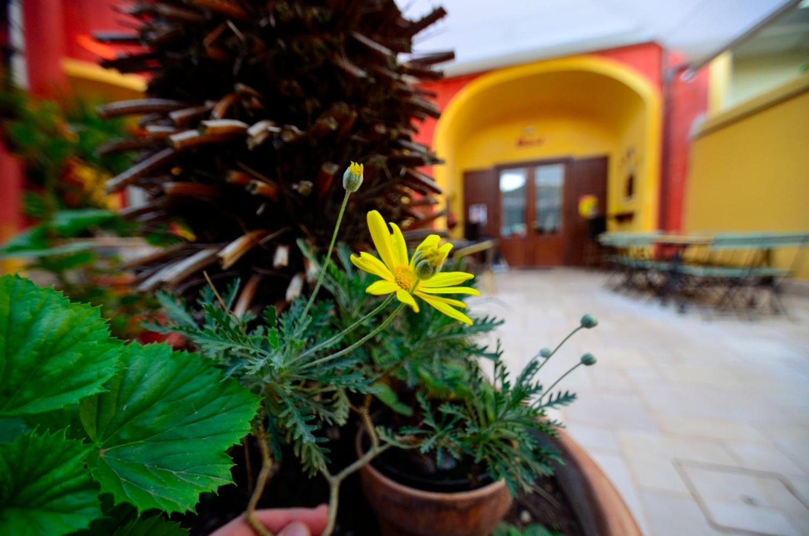 San Leucio Manouche Osteria B&B מראה חיצוני תמונה
