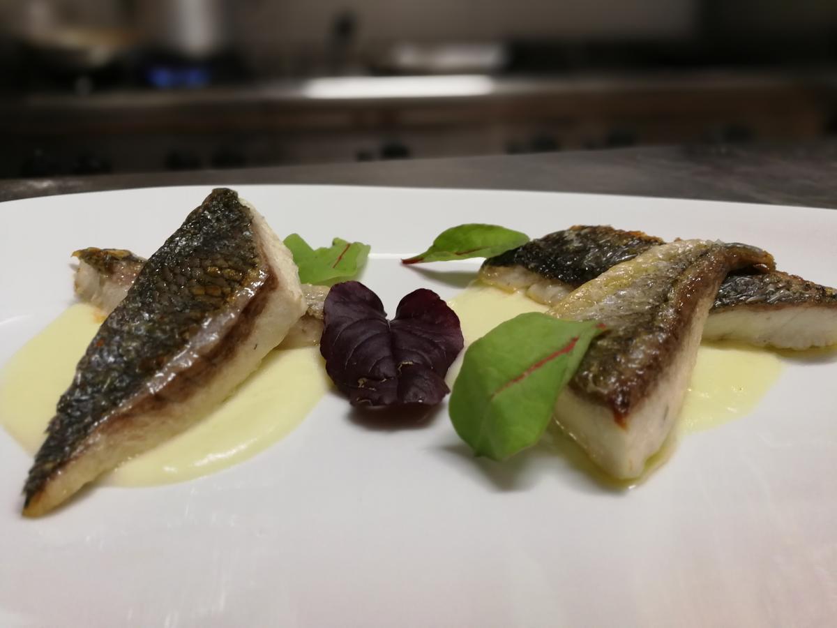 San Leucio Manouche Osteria B&B מראה חיצוני תמונה